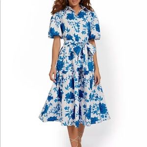 This a beautiful dress. I brought at NY & Co. Its brand name is Flying tomato.